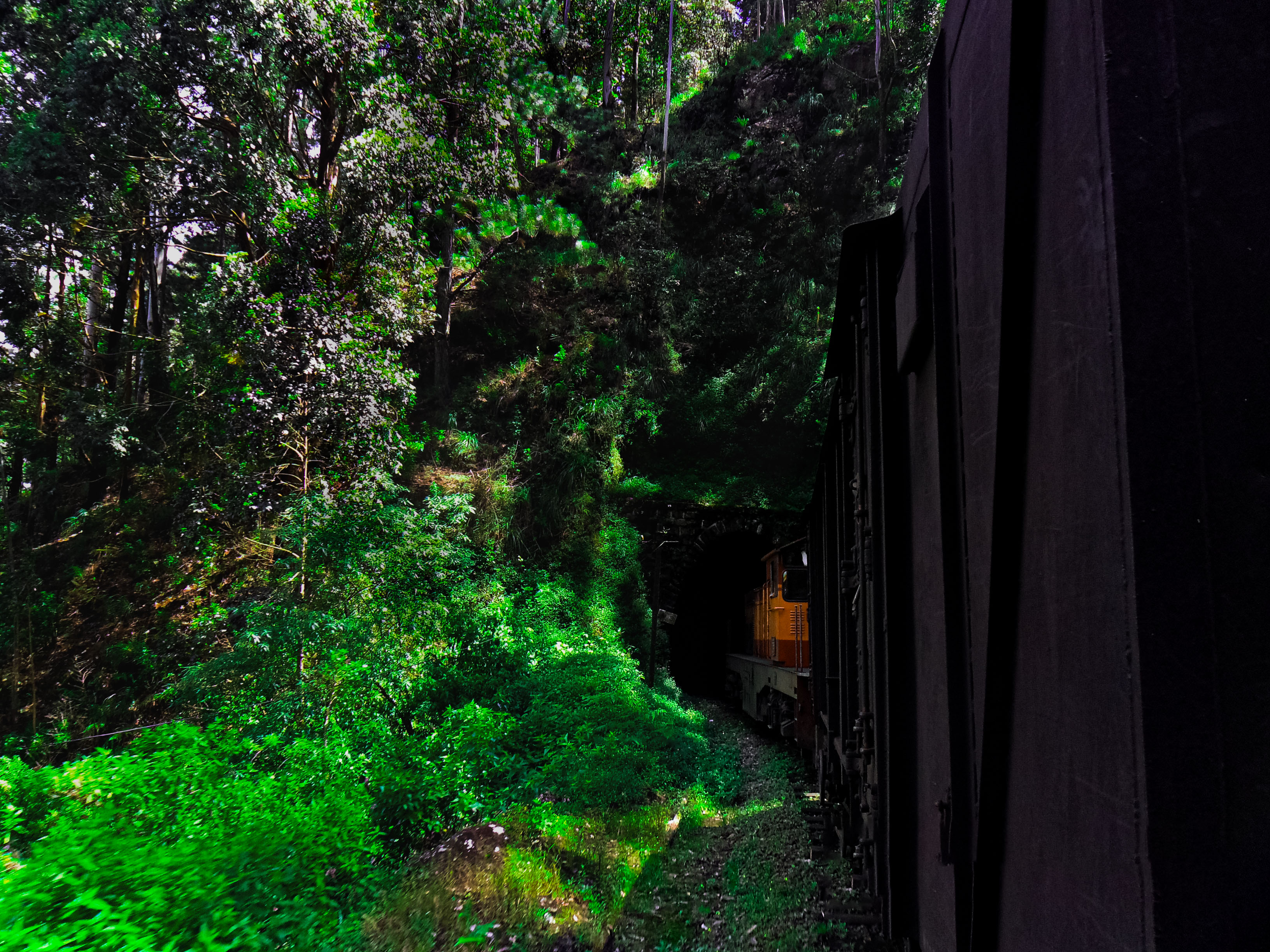 Train through the tunnel